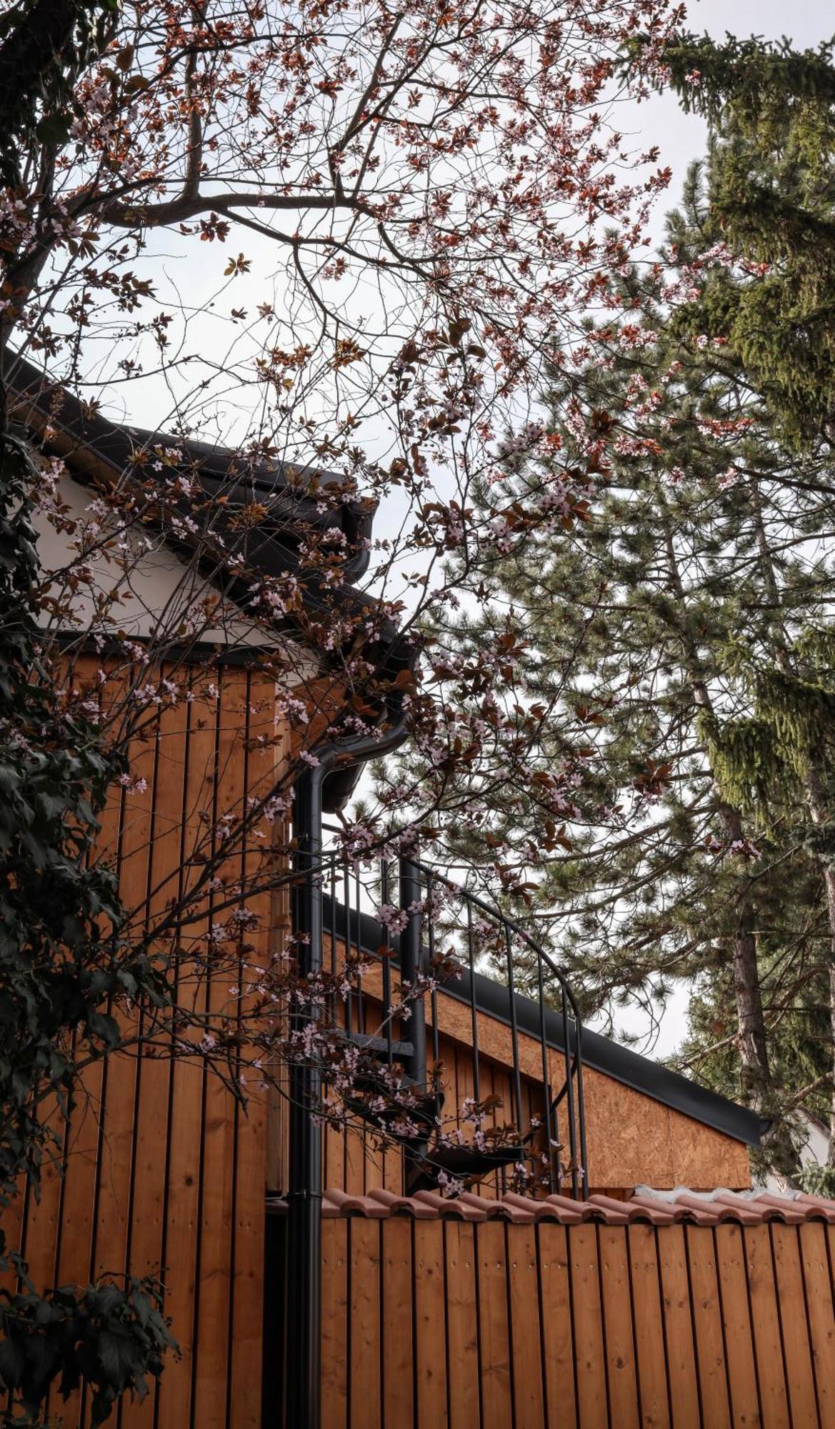 Golden Golem Hotel & Spa Πράγα Εξωτερικό φωτογραφία